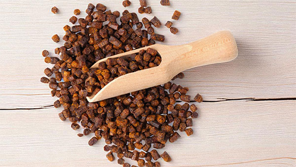 Propolis - Alleskönner aus dem Bienenstock